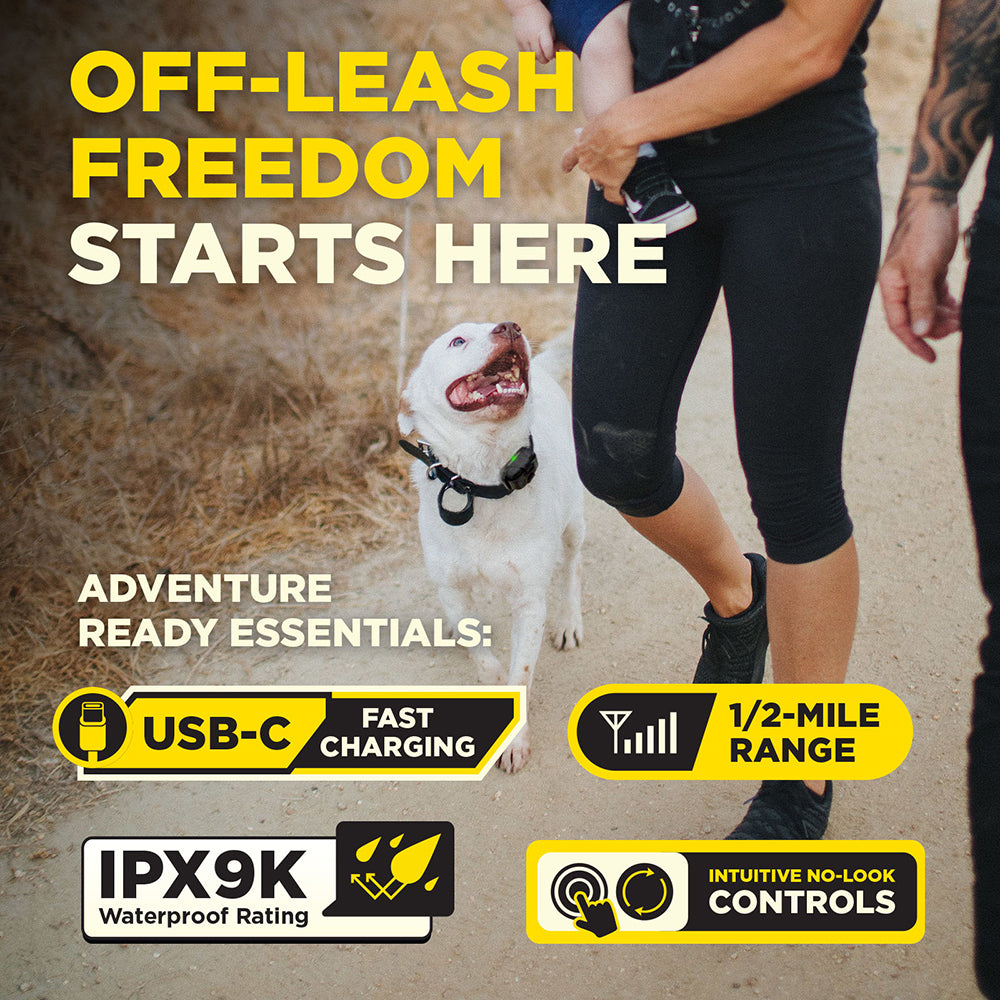 Dogtra 200iQ Dog Training System