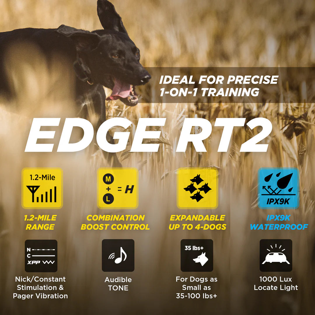 Dogtra Edge RT2 Dog Training Collar - 1600M