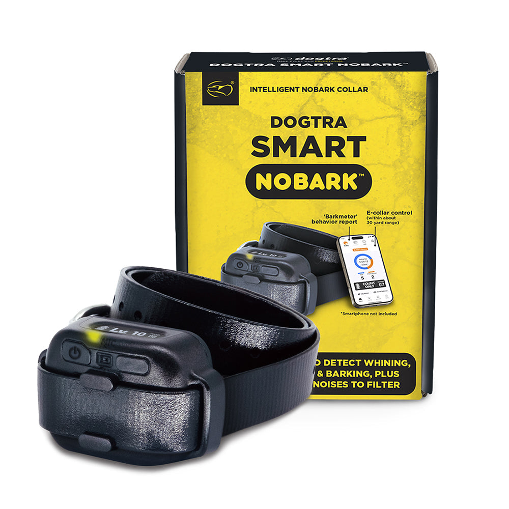 No Bark Collars