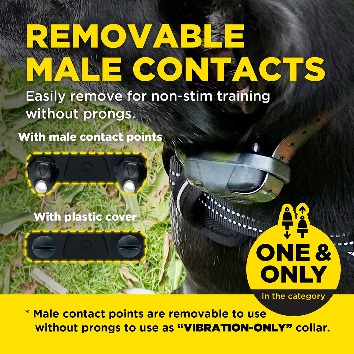 Dogtra 280X Dog Training Collar - 800M