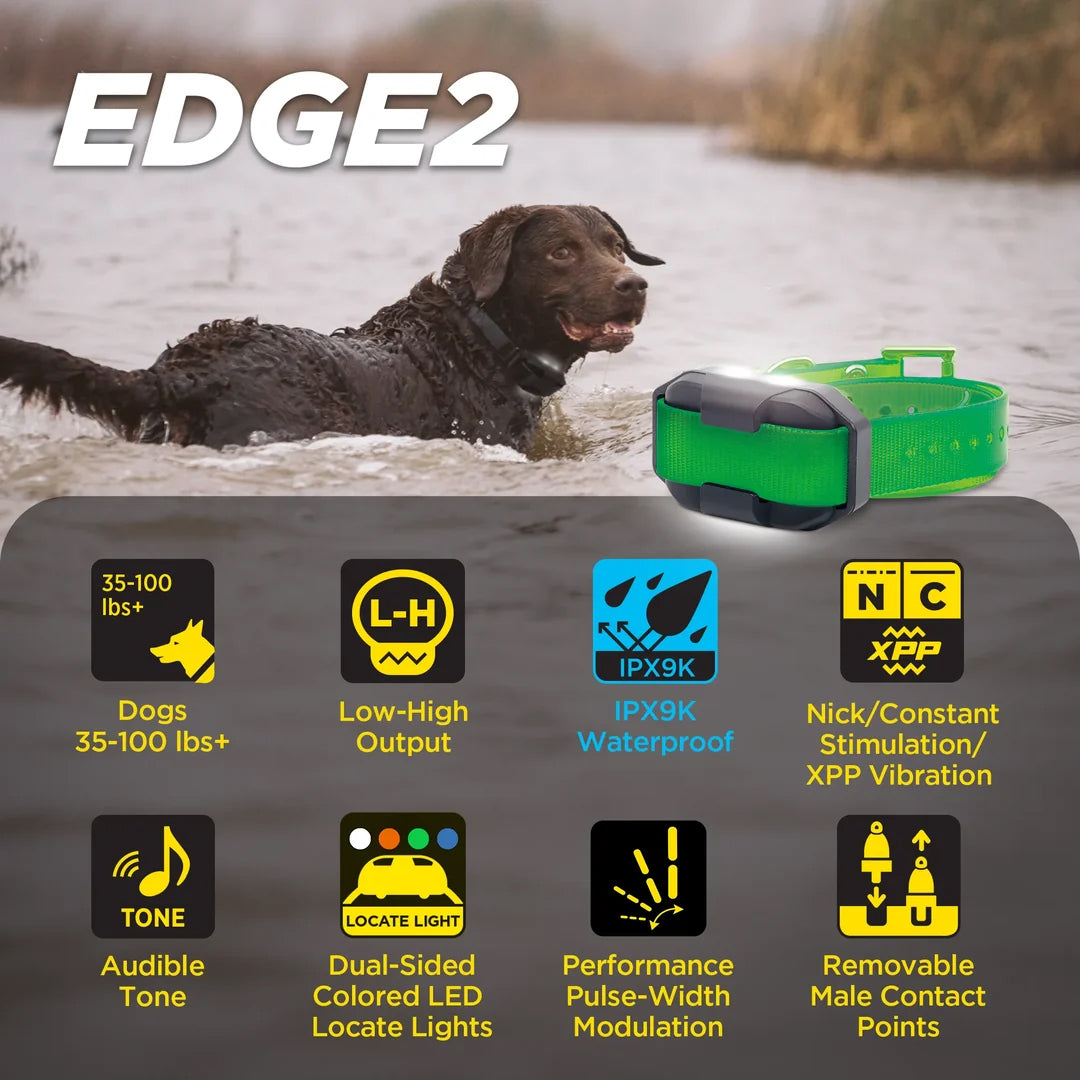 Dogtra Edge 2 add-a-dog Training Collar