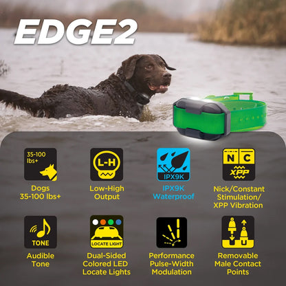 Dogtra Edge 2 add-a-dog Training Collar