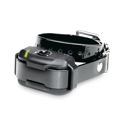Dgtra Extra Receiver Collars – Dogtra Australia