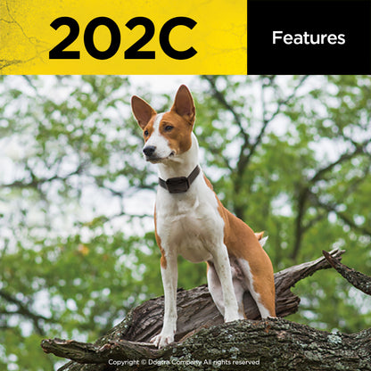 Dogtra 202c Dog Training Collar