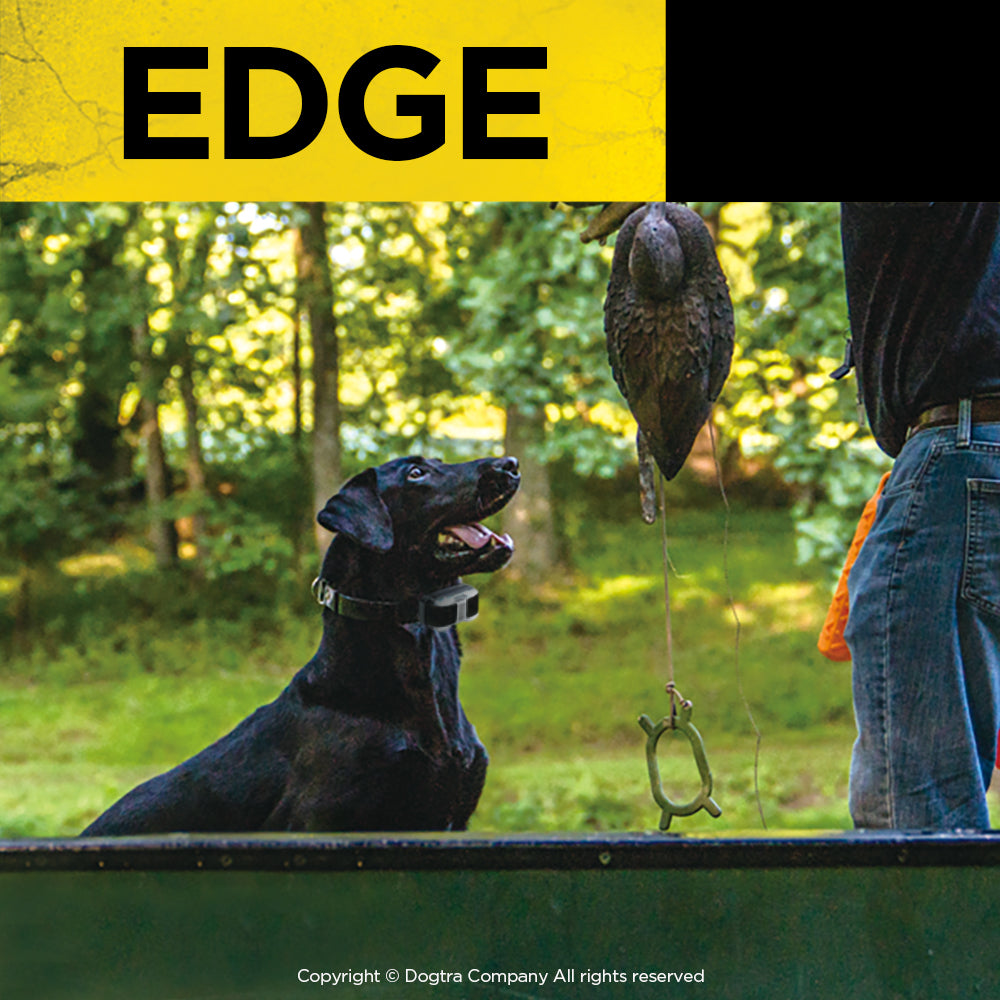 Dogtra Edge Dog Training Collar Kit - 1600M
