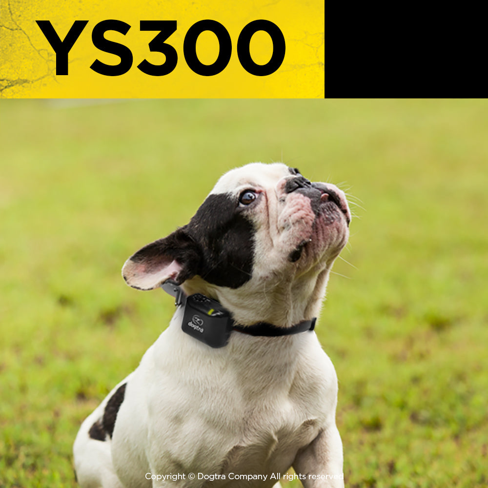 Dogtra YS300 Bark Control Collar
