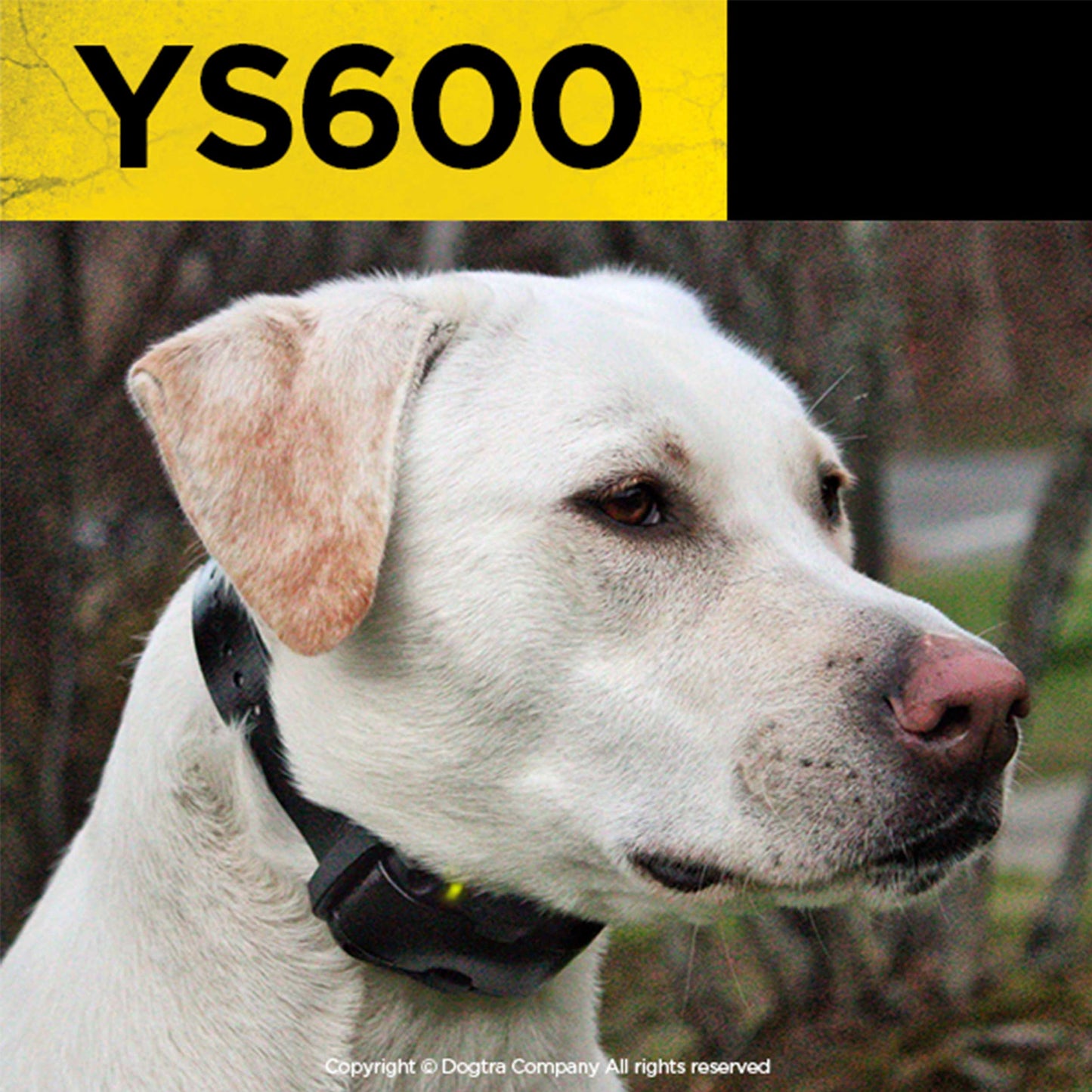 Dogtra YS600 Bark Control Collar