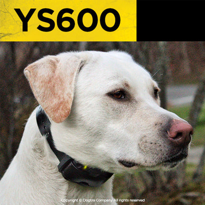 Dogtra YS600 Bark Control Collar