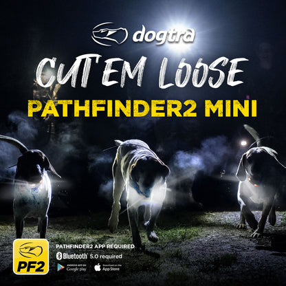 Dogtra Pathfinder 2 Mini GPS Dog Track, Train System