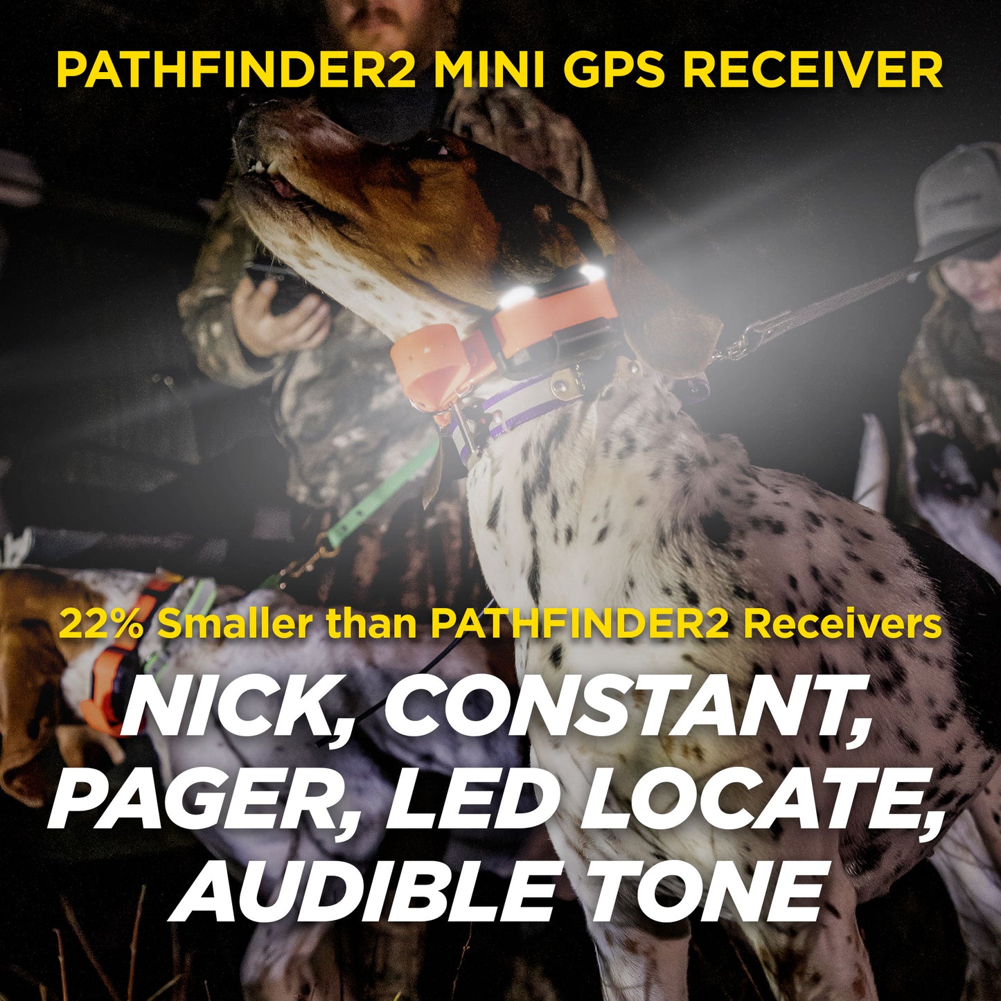 Dogtra Pathfinder 2 Mini GPS Dog Track, Train System