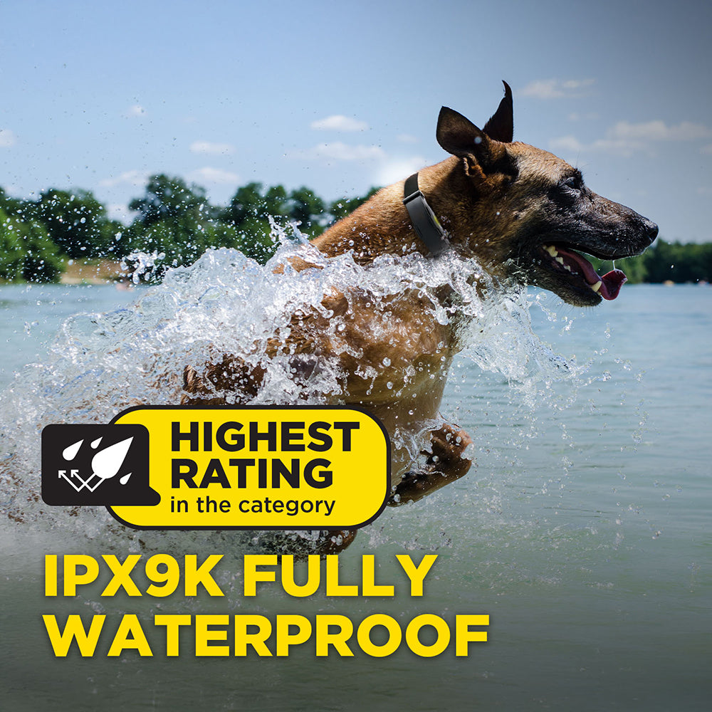 Dogtra ARC - X Dog Training Collar