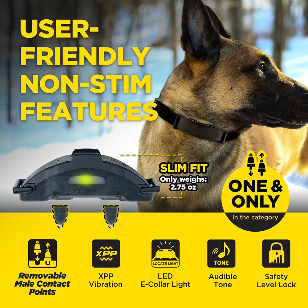 Dogtra ARC - X Dog Training Collar – Dogtra Australia
