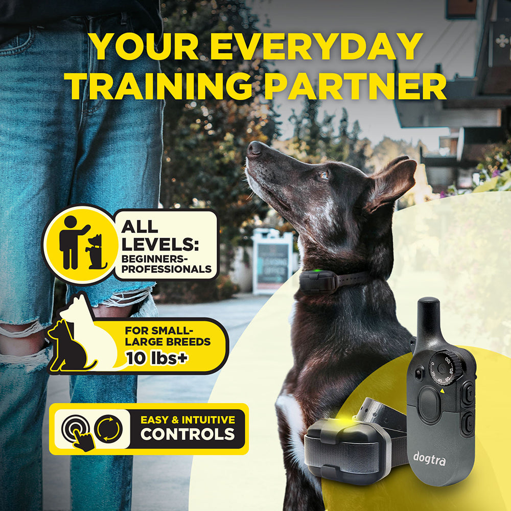 Dogtra 200iQ Dog Training System