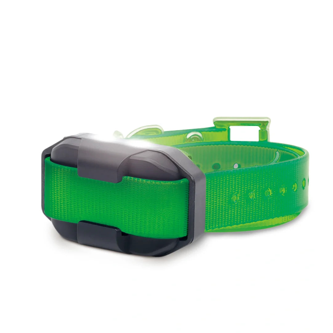 Dogtra Edge 2 add-a-dog Training Collar