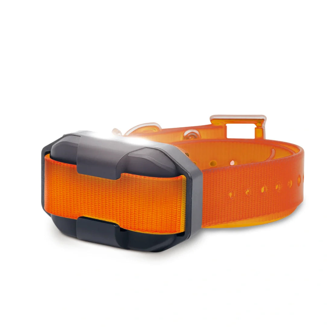 Dogtra Edge 2 add-a-dog Training Collar