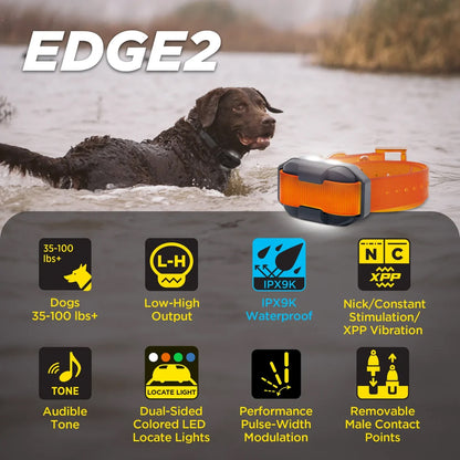 Dogtra Edge 2 add-a-dog Training Collar