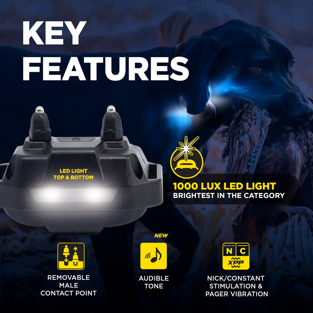 Dogtra Edge RT2 Dog Training Collar - 1600M