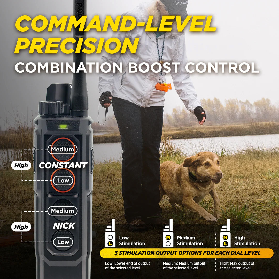 Dogtra Edge RT2 Dog Training Collar - 1600M