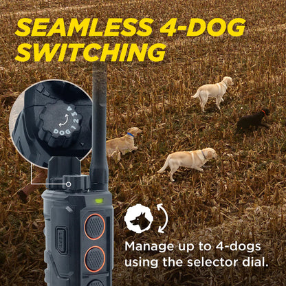 Dogtra Edge RT2 Dog Training Collar - 1600M