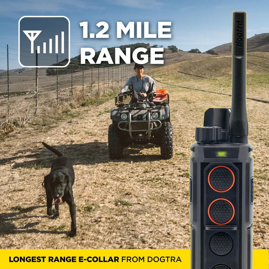Dogtra Edge RT2 Dog Training Collar - 1600M