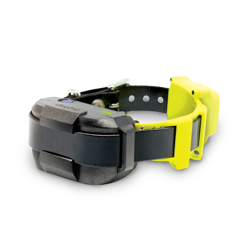 Dogtra GPS Dog Fence