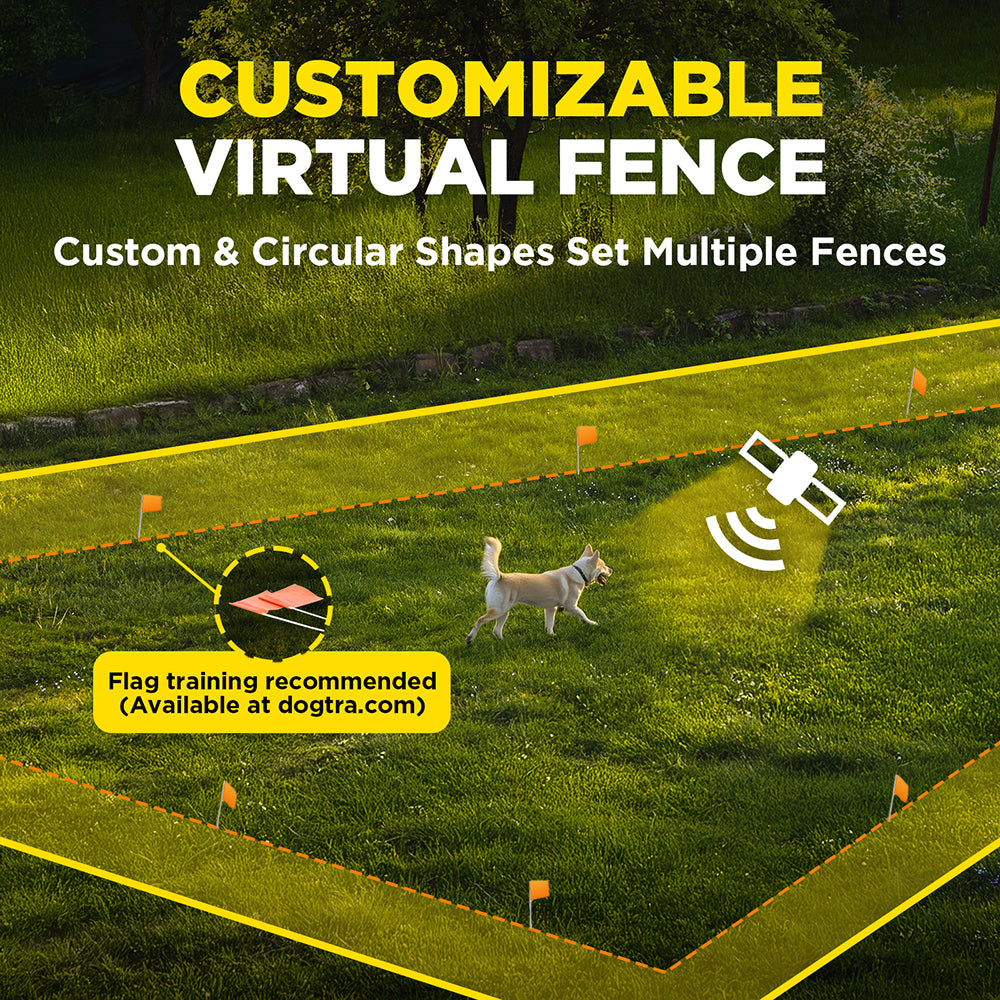 Dogtra GPS Dog Fence