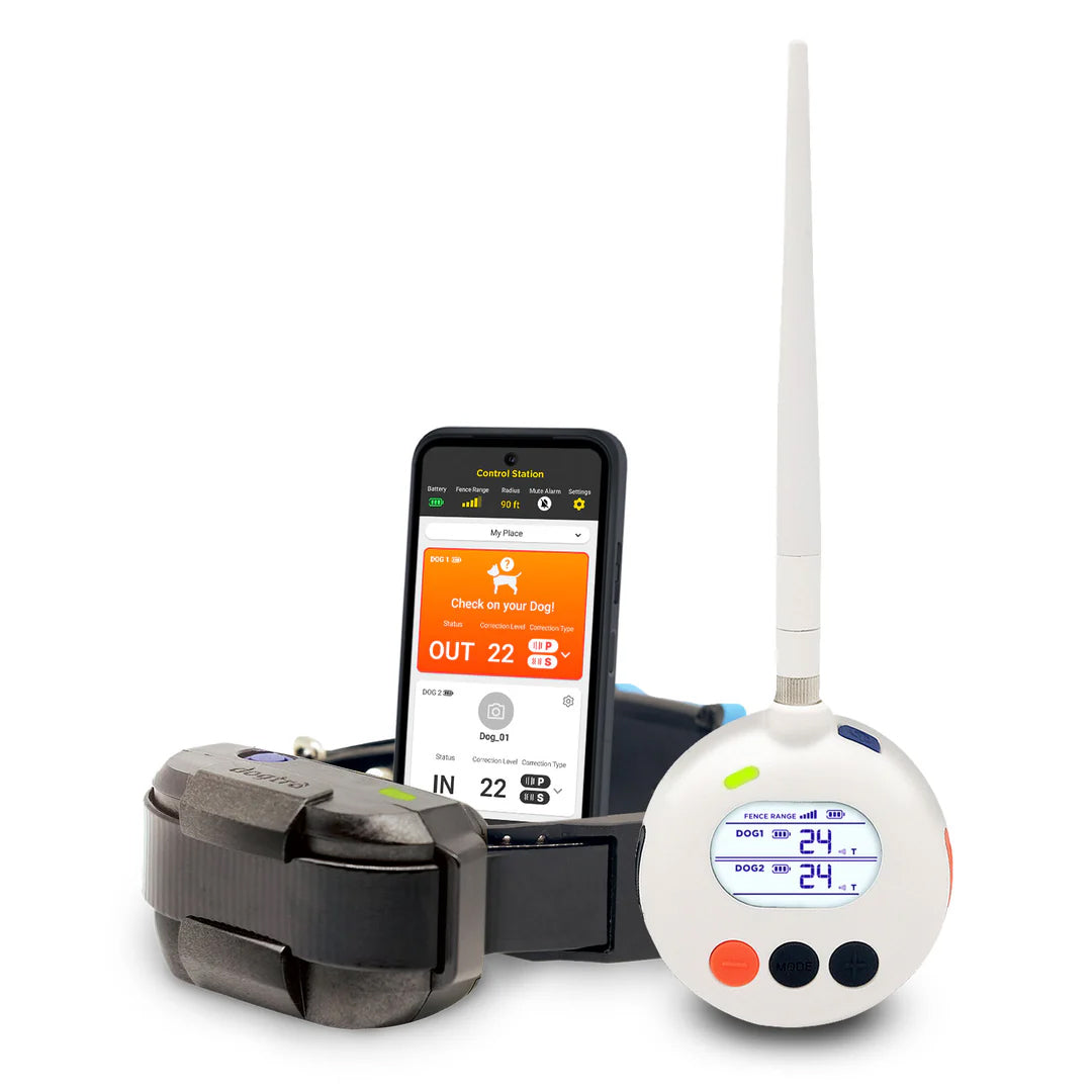 Dogtra Smart Radio Dog Fence