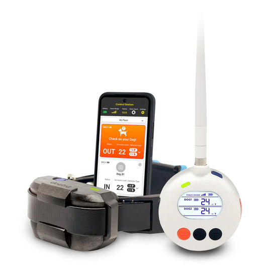 Dogtra Smart Radio Fence