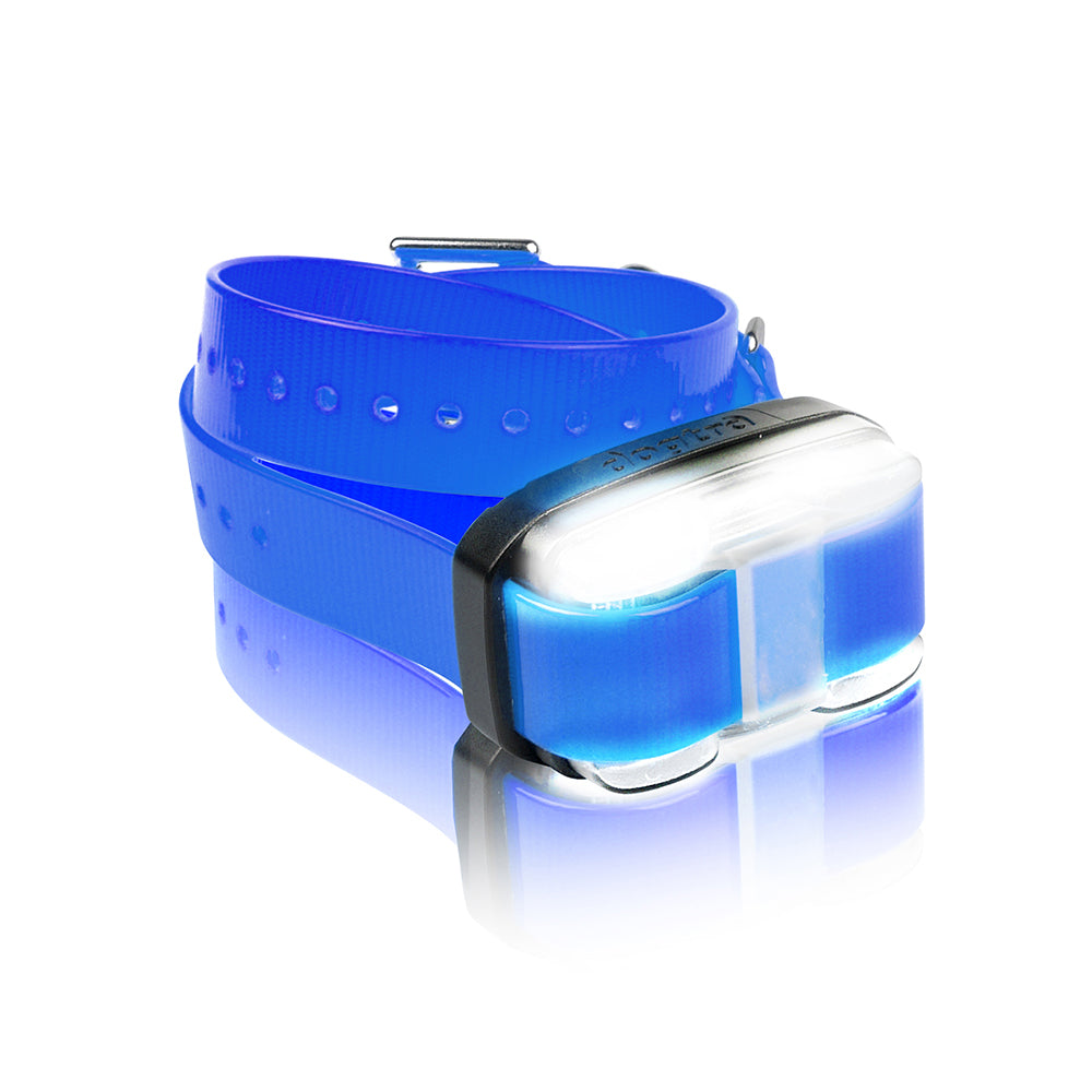 Dogtra Edge Additional Dog Training Collar