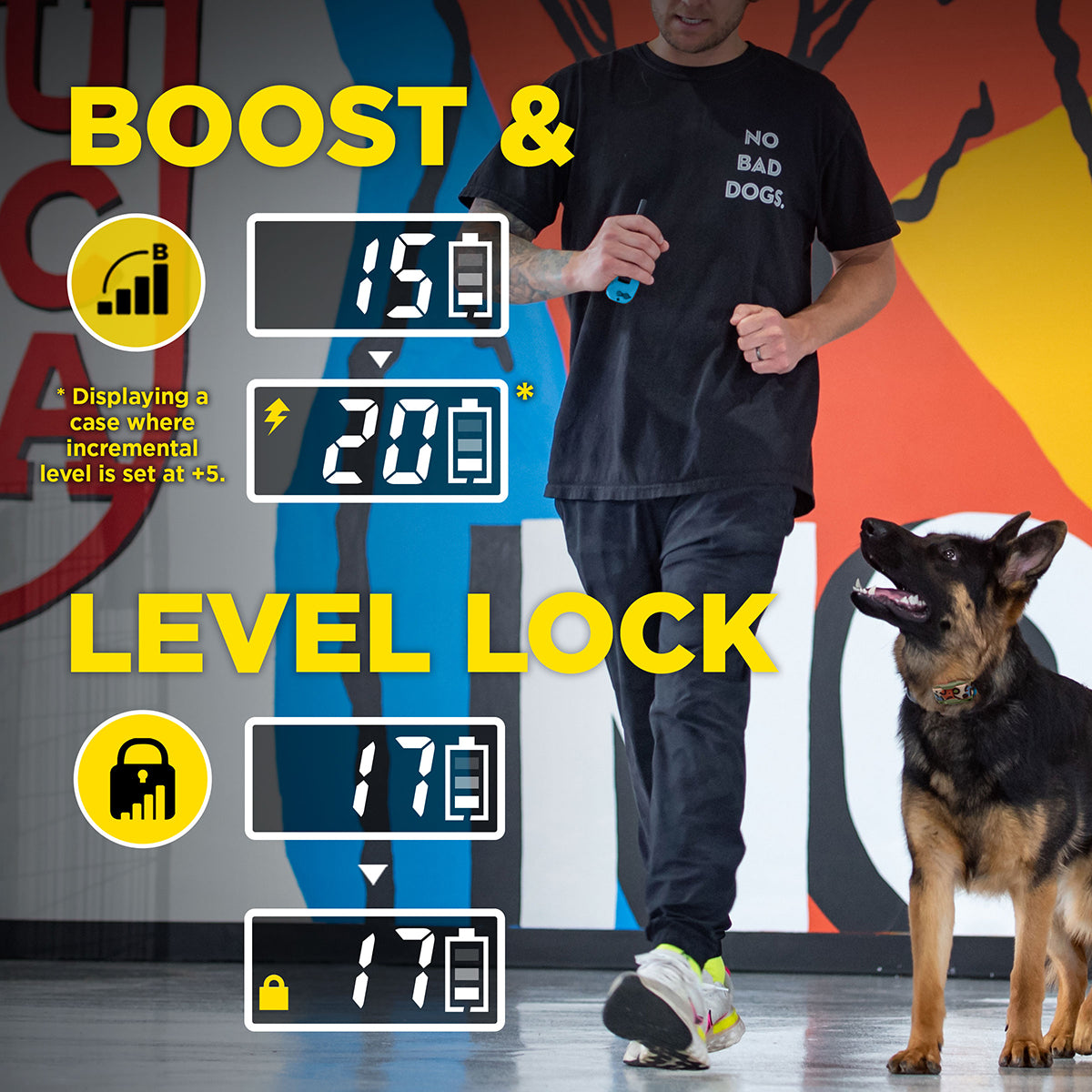 Dogtra 280c Dog Training Collar Tom Davis Edition 2