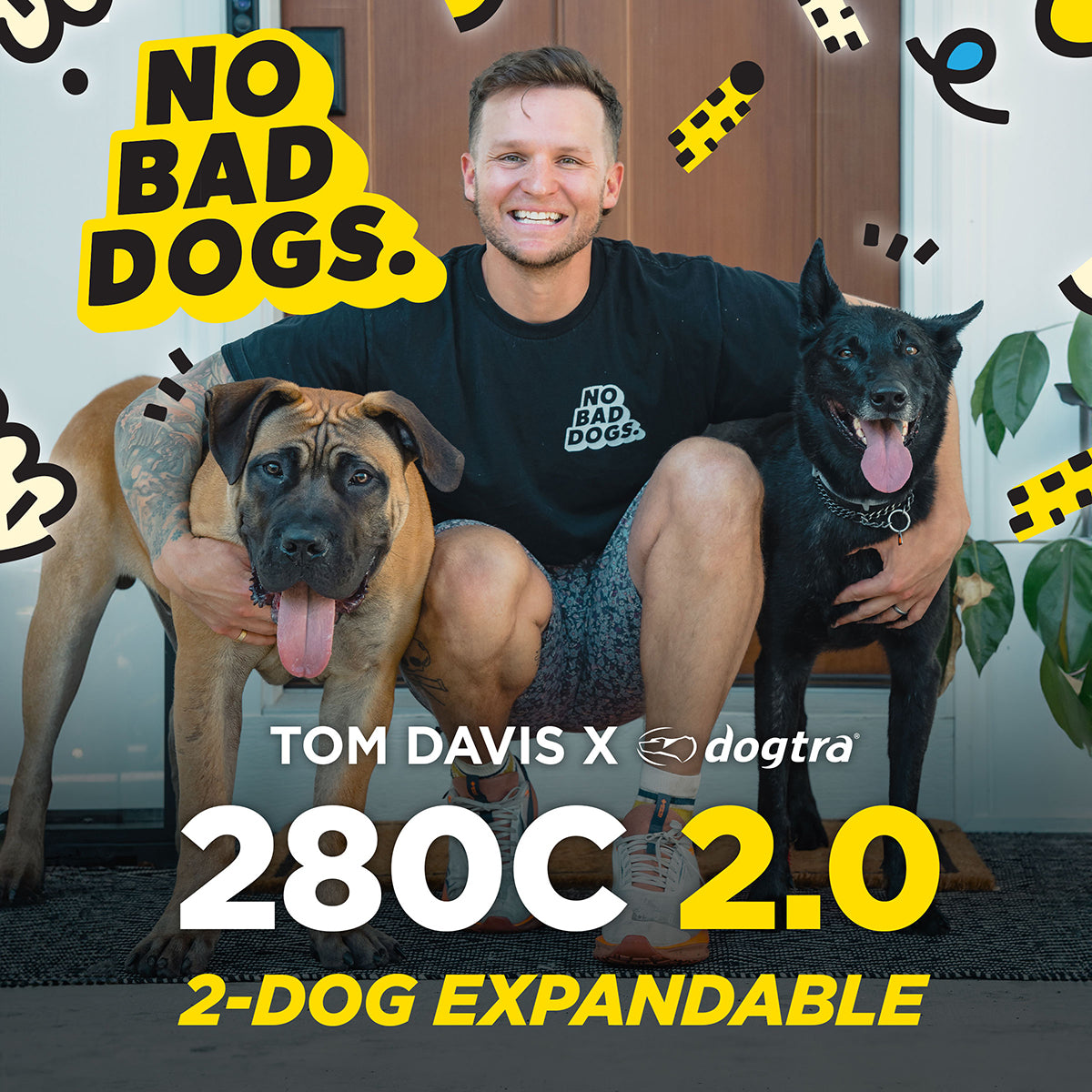 Dogtra 280c Dog Training Collar Tom Davis Edition 2